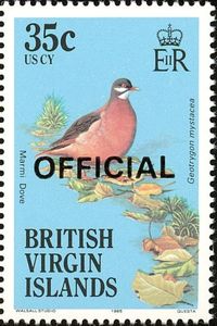 Marmi Dove (Geotrygon mystacea) - Overprinted